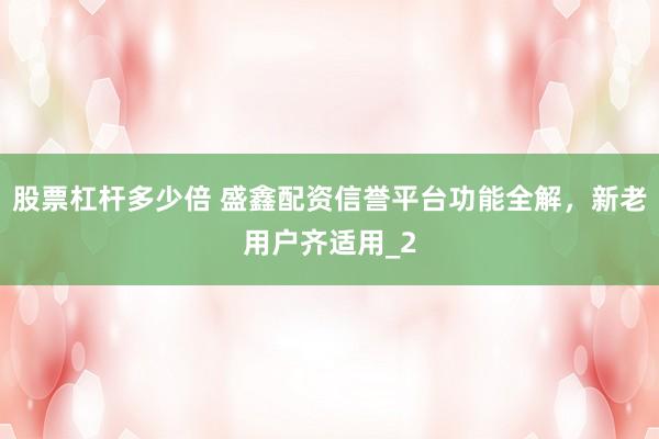 股票杠杆多少倍 盛鑫配资信誉平台功能全解，新老用户齐适用_2